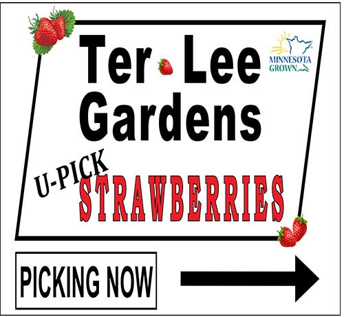 Pick Your Own for big red delicious strawberries at Ter-Lee Gardens in Bagley, Minnesota.  Delicious pre-picked strawberries are also available at our farm stand at the Bemidji Farmers' Market and the Bagley Farmers' Market. 